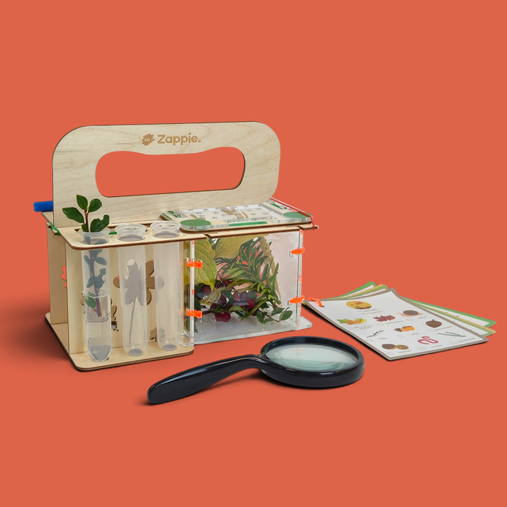 Bio Box